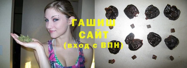 прущие грибы Ельня