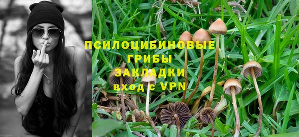 MDMA Заводоуковск