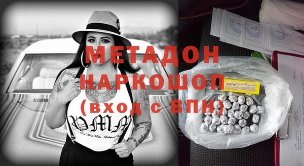 прущие грибы Ельня
