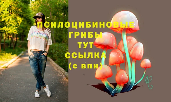 MDMA Заводоуковск