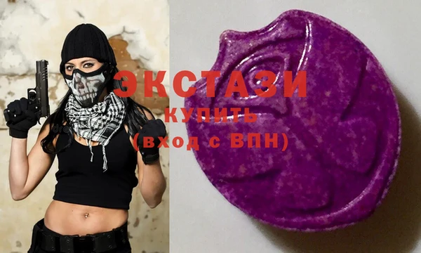 мдпв Елабуга