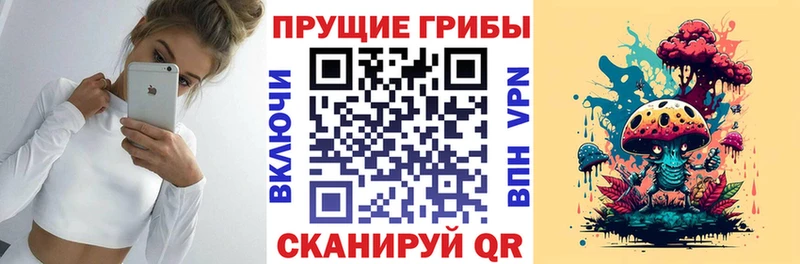 Галлюциногенные грибы Psilocybe  Купить  Курильск 